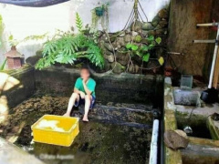 Ảnh bìa bài viết 705697