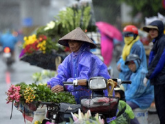Ảnh bìa bài viết 705647