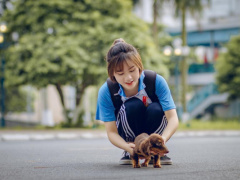 Ảnh bìa bài viết 706049