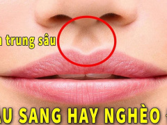 Ảnh bìa bài viết 706277