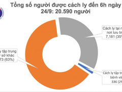 Ảnh bìa bài viết 706394