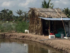 Ảnh bìa bài viết 706766