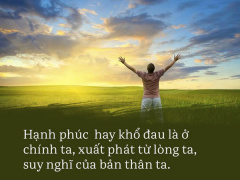 Ảnh bìa bài viết 706683