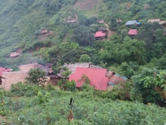 Ảnh bìa bài viết 706909