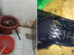 Ảnh bìa bài viết 706931