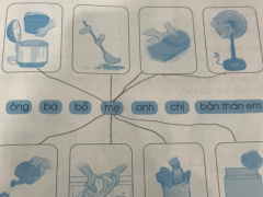 Ảnh bìa bài viết 707134