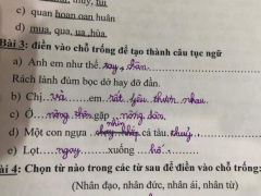 Ảnh bìa bài viết 707084