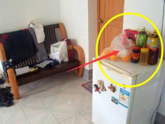 Ảnh bìa bài viết 707054