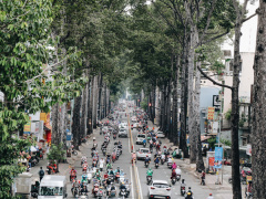 Ảnh bìa bài viết 707216