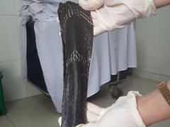 Ảnh bìa bài viết 707435