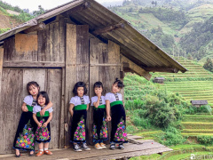 Ảnh bìa bài viết 707570