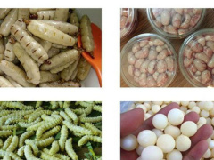 Ảnh bìa bài viết 707508
