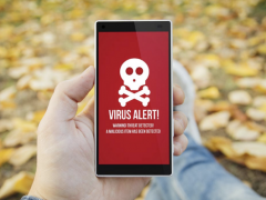 Ảnh bìa bài viết 708399