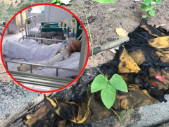 Ảnh bìa bài viết 708413