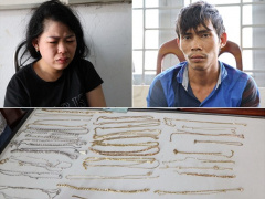 Ảnh bìa bài viết 708661