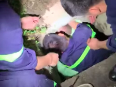 Ảnh bìa bài viết 709189