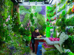 Ảnh bìa bài viết 709155