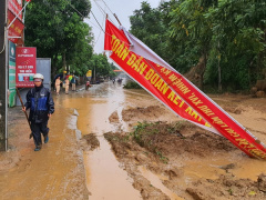 Ảnh bìa bài viết 709091