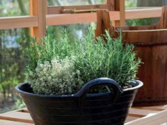 Ảnh bìa bài viết 708997
