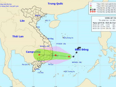 Ảnh bìa bài viết 709254