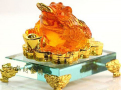 Ảnh bìa bài viết 709231