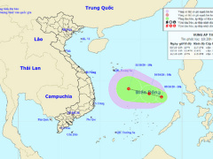 Ảnh bìa bài viết 709780
