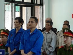 Ảnh bìa bài viết 709682
