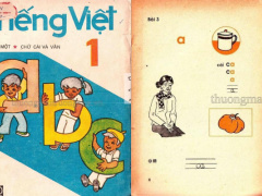 Ảnh bìa bài viết 709775