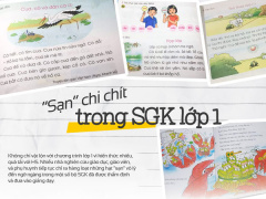 Ảnh bìa bài viết 710020