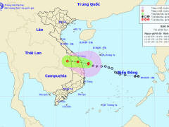 Ảnh bìa bài viết 710145
