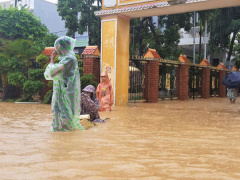 Ảnh bìa bài viết 710135