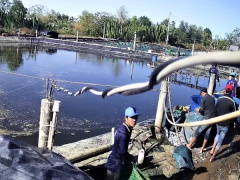 Ảnh bìa bài viết 710372