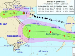 Ảnh bìa bài viết 710801
