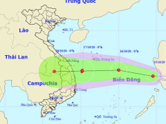 Ảnh bìa bài viết 711036