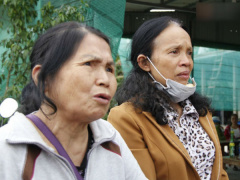 Ảnh bìa bài viết 711124