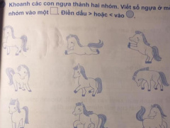 Ảnh bìa bài viết 711182