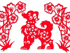 Ảnh bìa bài viết 711286