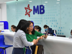 Ảnh bìa bài viết 711464