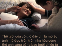 Ảnh bìa bài viết 711508