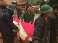 Ảnh bìa bài viết 711660