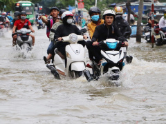 Ảnh bìa bài viết 711649