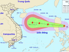 Ảnh bìa bài viết 712109