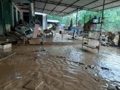 Ảnh bìa bài viết 712015