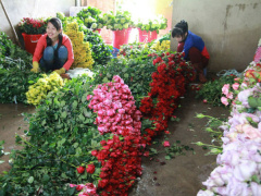 Ảnh bìa bài viết 712033