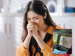 Ảnh bìa bài viết 712044