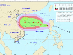 Ảnh bìa bài viết 712156