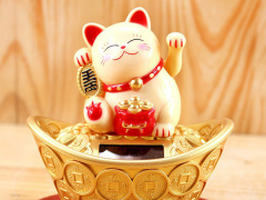 Ảnh bìa bài viết 712166