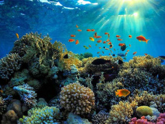 Ảnh bìa bài viết 712348