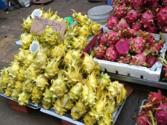 Ảnh bìa bài viết 712294