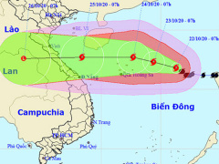 Ảnh bìa bài viết 712475